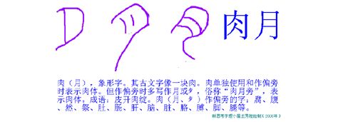 月字部首的字|月字旁(月部)